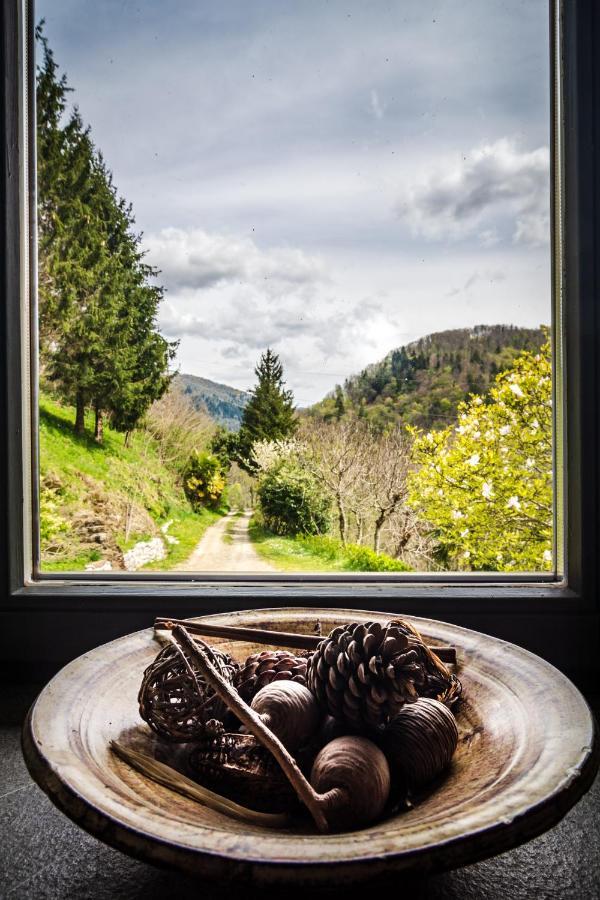 Kuninez, Holiday Home With Summer Kitchen Most na Soči Eksteriør bilde
